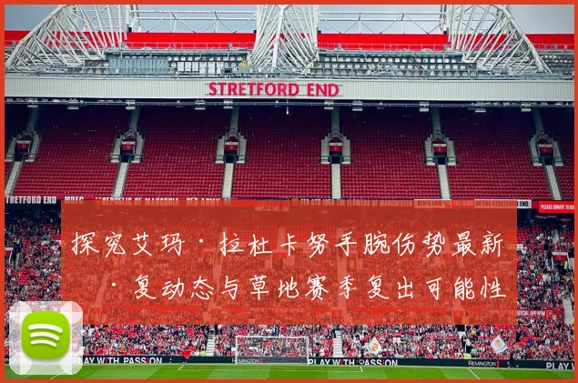 探究艾玛·拉杜卡努手腕伤势最新康复动态与草地赛季复出可能性