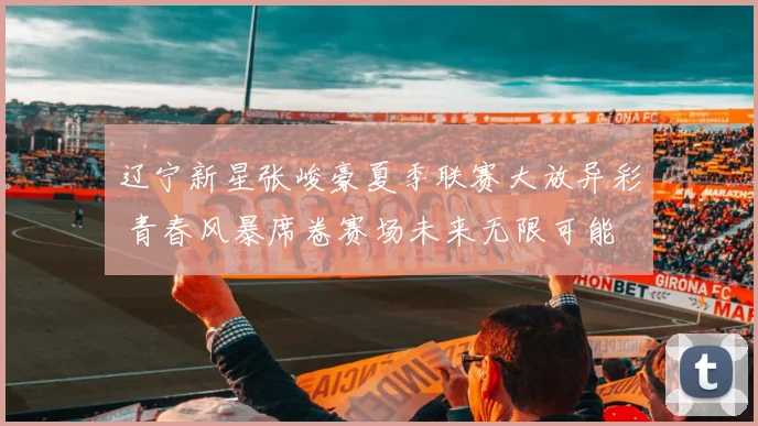 辽宁新星张峻豪夏季联赛大放异彩 青春风暴席卷赛场未来无限可能
